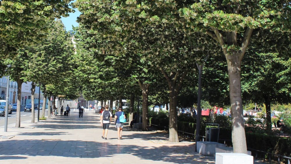 trottoirs ombrages autour place bellecour lyon
