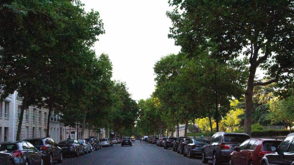 un axe urbain de lyon soumis a la zfe