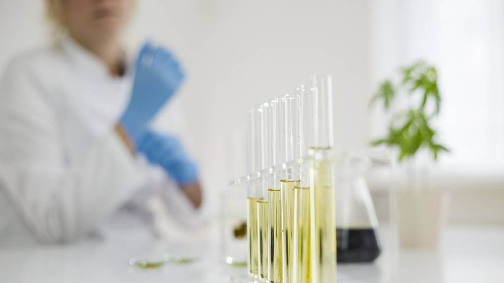 recherche traitement homeopathiques laboratoires boiron lyon