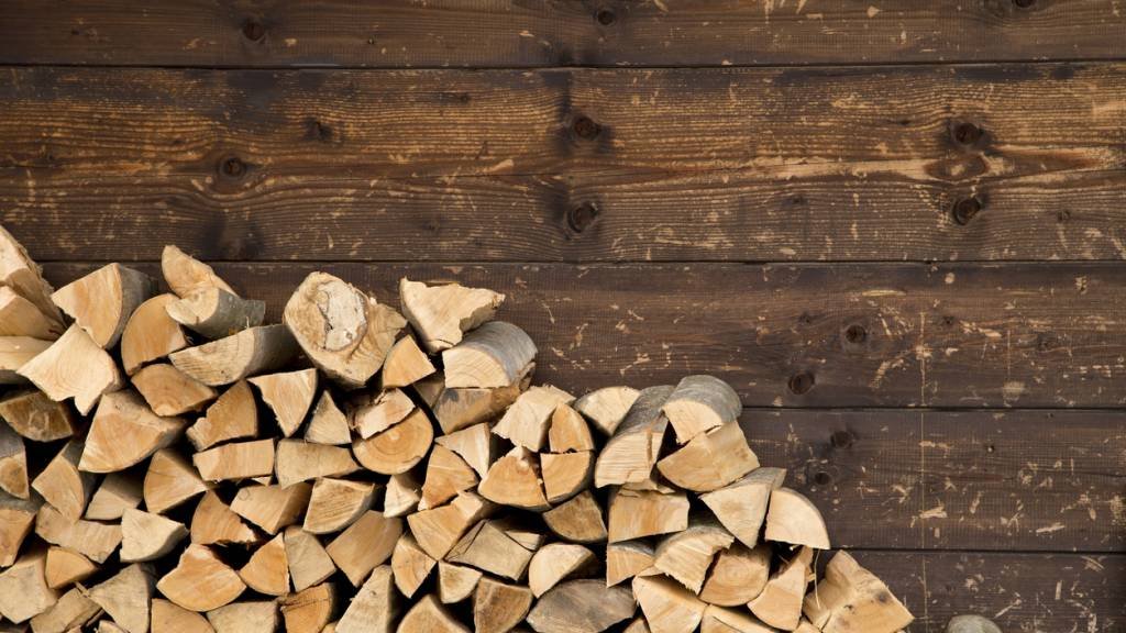 buches de bois