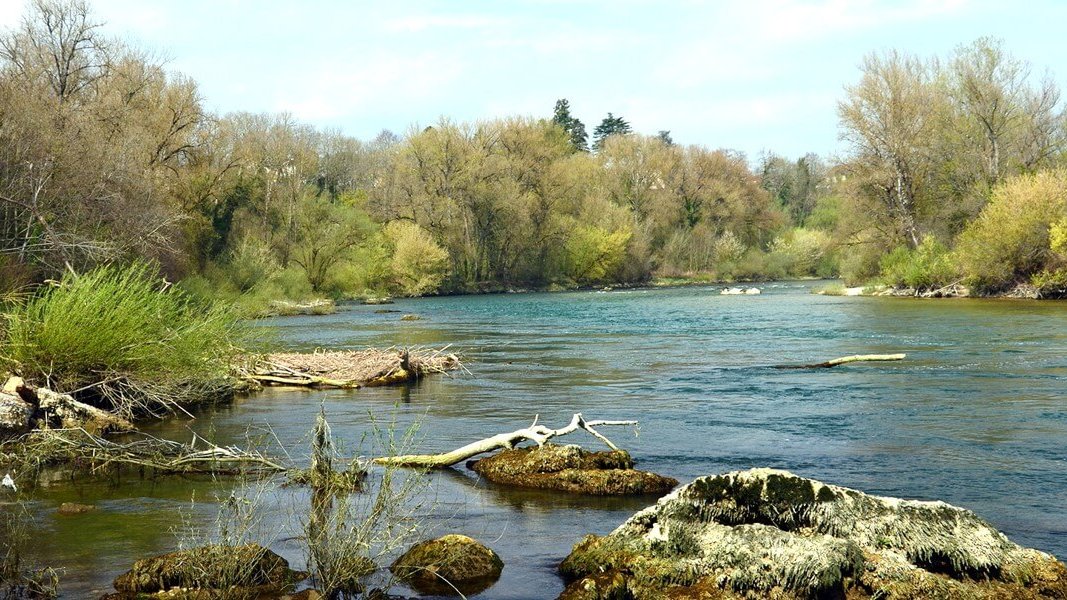 des parcours de canoe kayak dans des paysages sauvages sur la riviere de l ain en aval