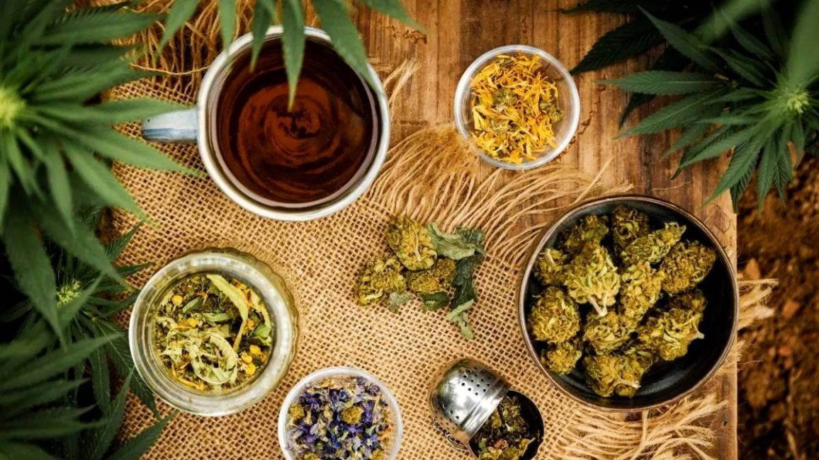les produits plante de tomine a lyon