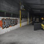 tagball toolyon