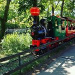 locomotive wagon petit traint parc tete or lyon