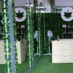 comptoir bois boutique cbd hight society lyon lafayette