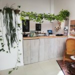 comptoir de vente en bois dans la boutique feel natural cbd a lyon