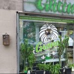 vitrine boutique graines articles cbd grana shop lyon