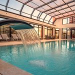 col de cygne dans la piscine couverte de l hotel kyriad prestige et spa de lyon saint priest