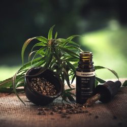 boutique cbd lyon