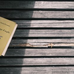 festivals et evenements litteraires a lyon