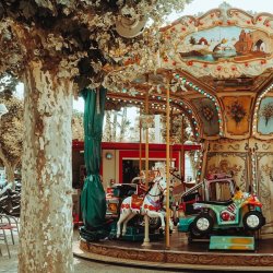 maneges pour enfants a lyon