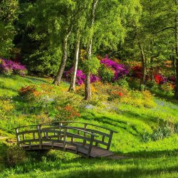 parc lyon