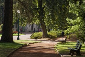 allees ombragees parc tete or lyon