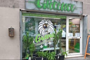vitrine boutique graines articles cbd grana shop lyon