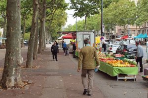 etales fruits et legumes sur le marche de lacroix rousse un dimanche a lyon