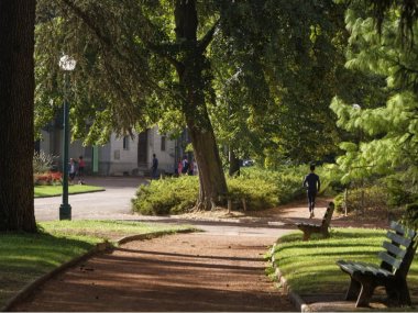 allees ombragees parc tete or lyon