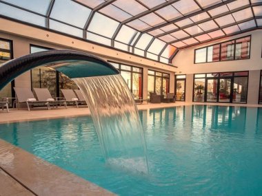 col de cygne dans la piscine couverte de l hotel kyriad prestige et spa de lyon saint priest