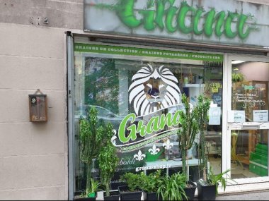 vitrine boutique graines articles cbd grana shop lyon
