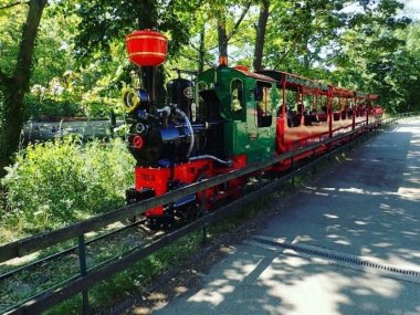 locomotive wagon petit traint parc tete or lyon