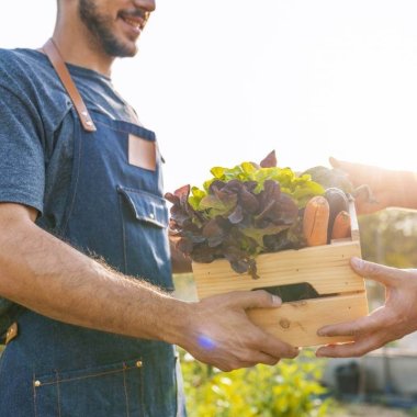 panier produits bio circuit court lyon