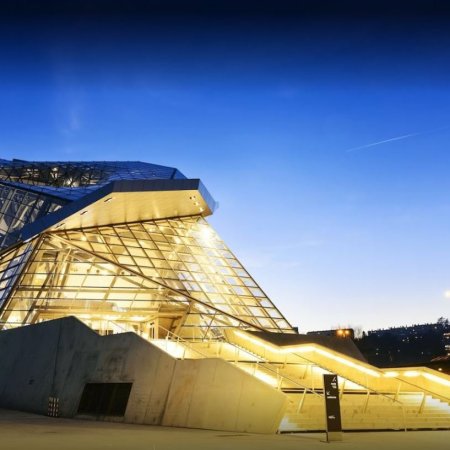musees lyon