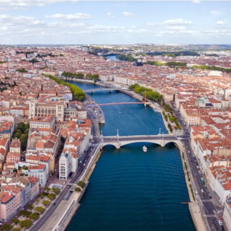 vue panoramique ponts lyon