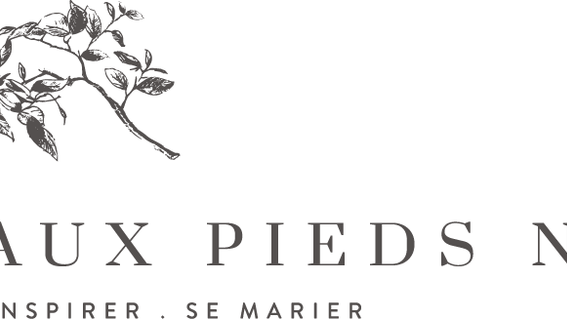 LOGO LMAPN