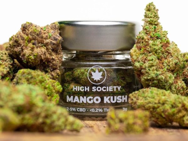 produits a base de cbd en vente dans la boutique high society lyon saxe gambetta