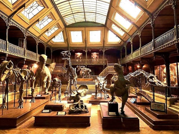 reproduction miniature un museum histoire naturelle avec des squelettes de dinosaures au musee du cinema et des miniatures de lyon