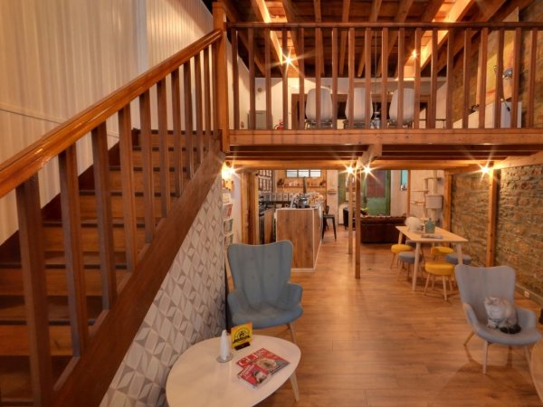 interieur deux niveaux gentle cat lyon