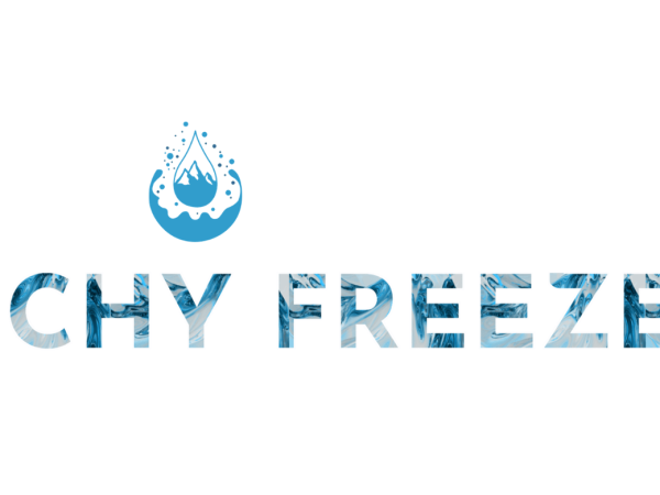logo de la boutique frenchy freeze