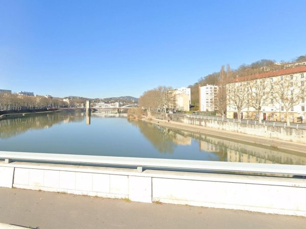 vue sur la saone depuis pont clemenceau lyon