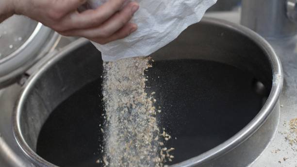 media la magie de la fermentation le role cle de la levure de biere