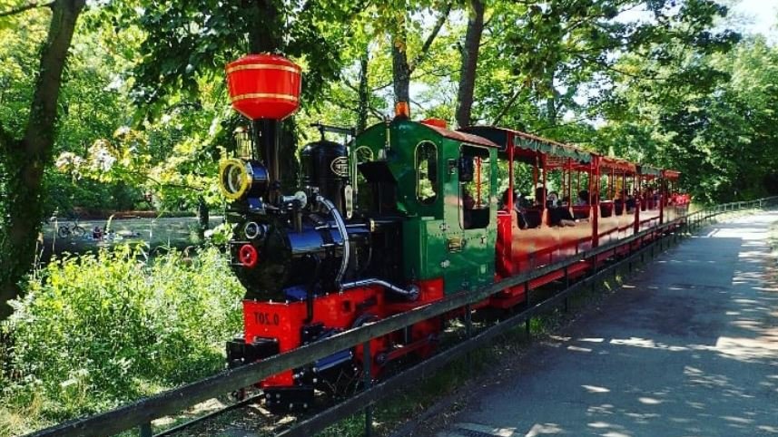locomotive wagon petit traint parc tete or lyon