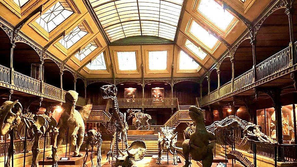 reproduction miniature un museum histoire naturelle avec des squelettes de dinosaures au musee du cinema et des miniatures de lyon
