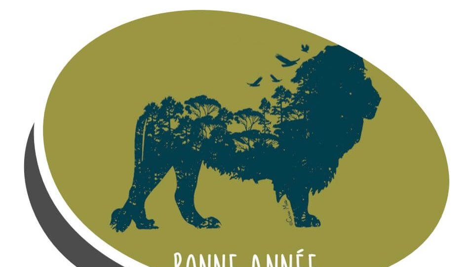 carte de voeux mairie lyon 2021