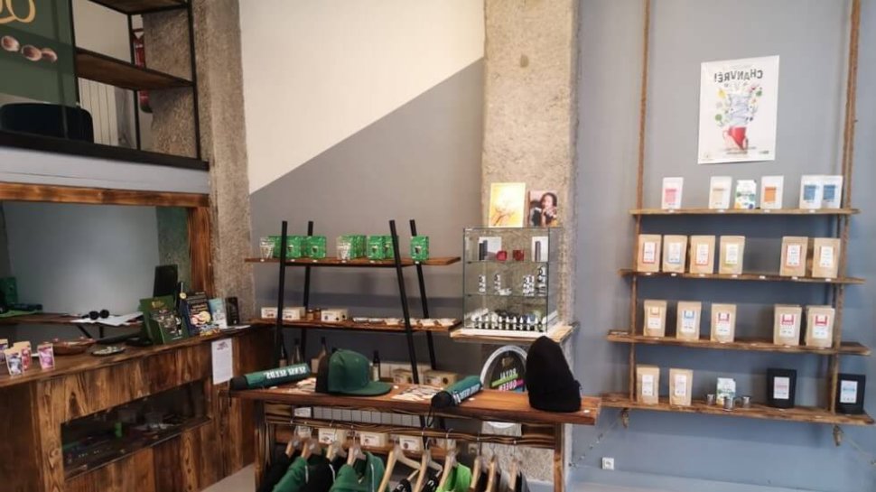 vue ensemble interieur de la boutique histoire de graines a lyon