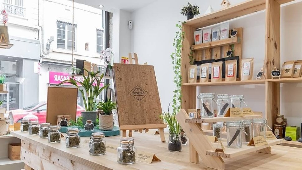 presentoirs de fleurs de cbd en pots dans la boutique nativus a lyon