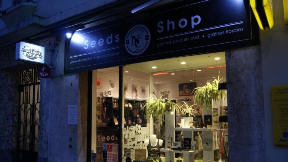 vitrine illuminee natural collector lyon cbd seeds shop