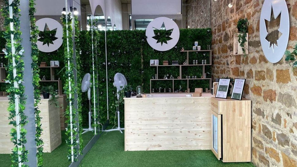 comptoir bois boutique cbd hight society lyon lafayette
