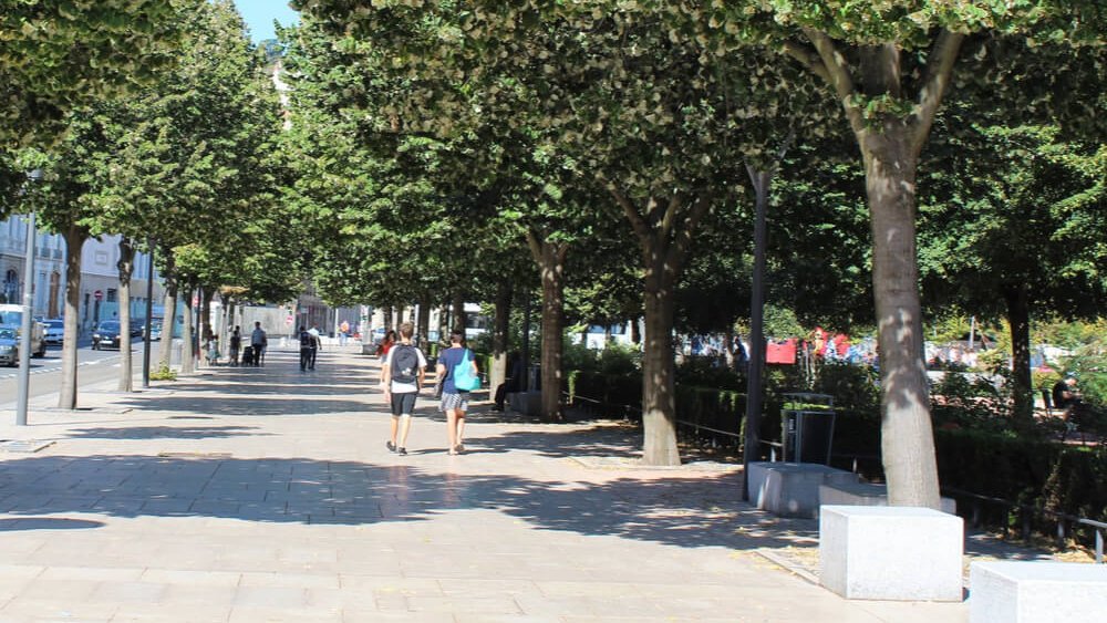 trottoirs ombrages autour place bellecour lyon