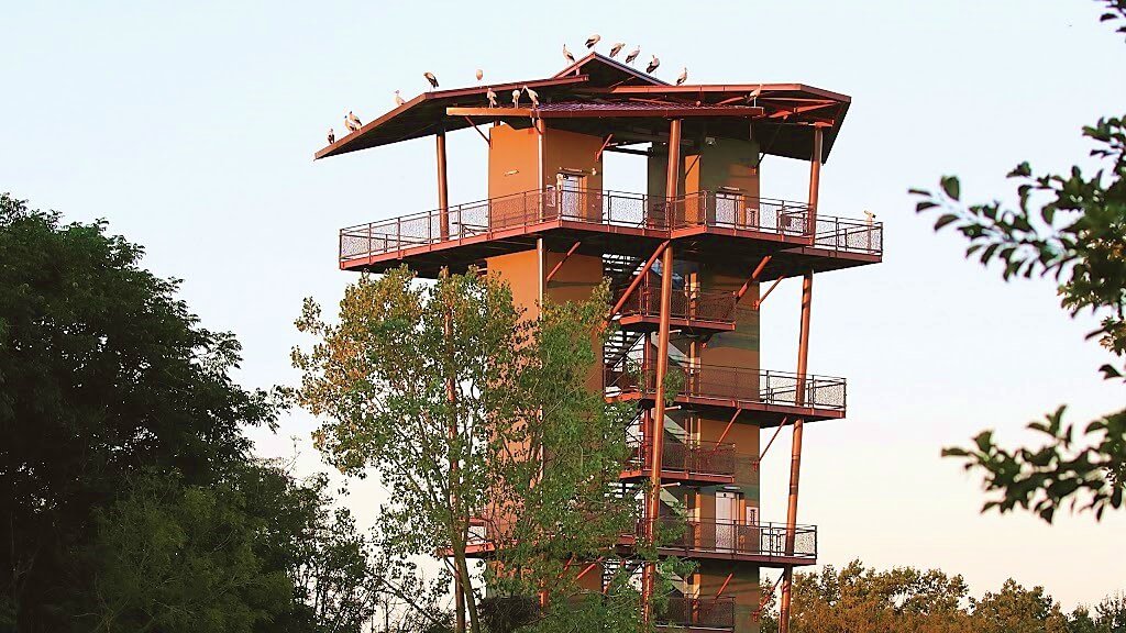 tour observation parc oiseaux villars les dombes