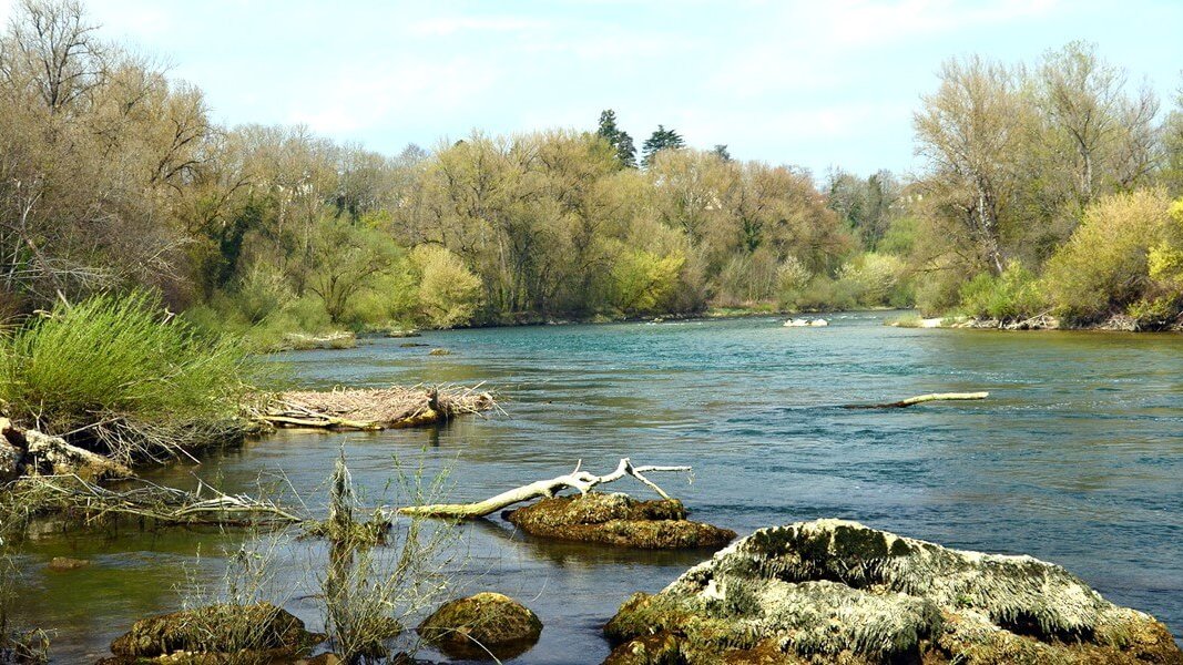 des parcours de canoe kayak dans des paysages sauvages sur la riviere de l ain en aval