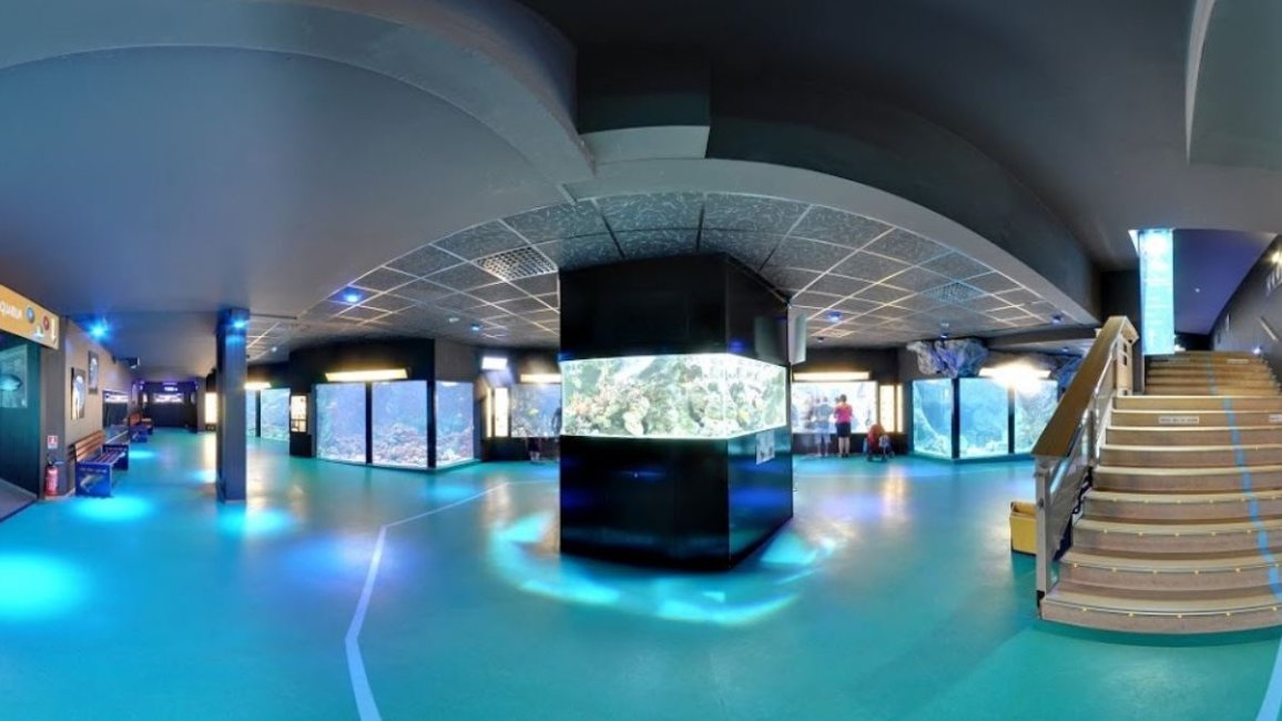 grande salle aquarium lyon