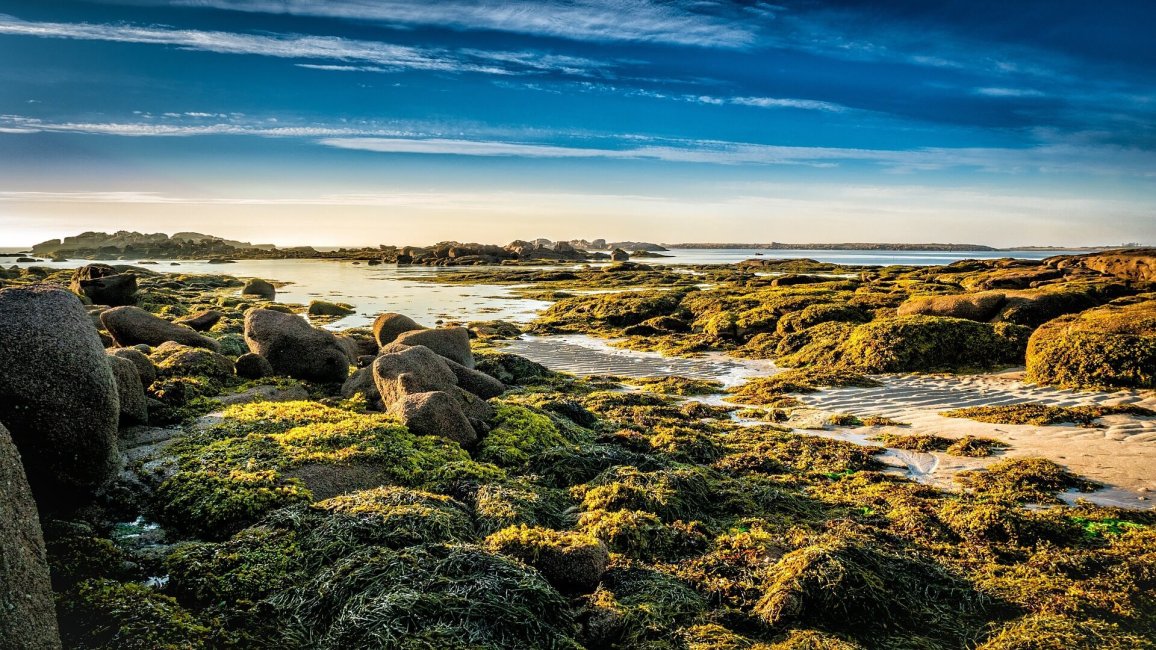 plage sur la cote d armor en bretagne