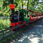 locomotive wagon petit traint parc tete or lyon