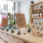 presentoirs de fleurs de cbd en pots dans la boutique nativus a lyon