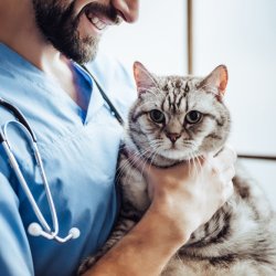 veterinaire lyon