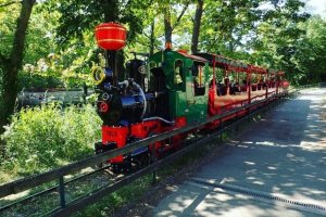 locomotive wagon petit traint parc tete or lyon