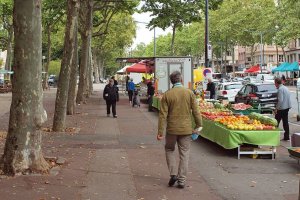etales fruits et legumes sur le marche de lacroix rousse un dimanche a lyon
